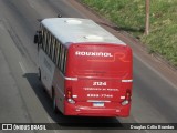 Rouxinol 2124 na cidade de Belo Horizonte, Minas Gerais, Brasil, por Douglas Célio Brandao. ID da foto: :id.