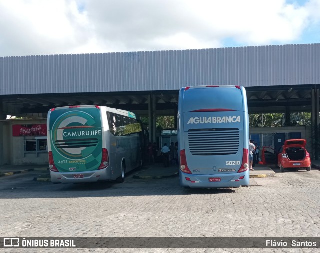 Viação Águia Branca 50210 na cidade de Cruz das Almas, Bahia, Brasil, por Flávio  Santos. Número da foto: #11302696.