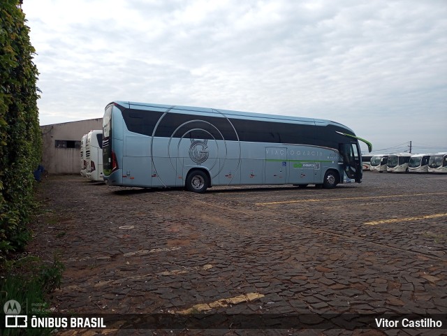 Viação Garcia 82209 na cidade de Telêmaco Borba, Paraná, Brasil, por Vitor Castilho. ID da foto: 11301843.