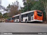 TRANSPPASS - Transporte de Passageiros 8 1907 na cidade de São Paulo, São Paulo, Brasil, por Matheus  Daniel. Número da foto: #11304315.