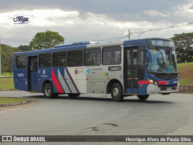Transportes Capellini 19.229 na cidade de Americana, São Paulo, Brasil, por Henrique Alves de Paula Silva. Número da foto: #11311848.