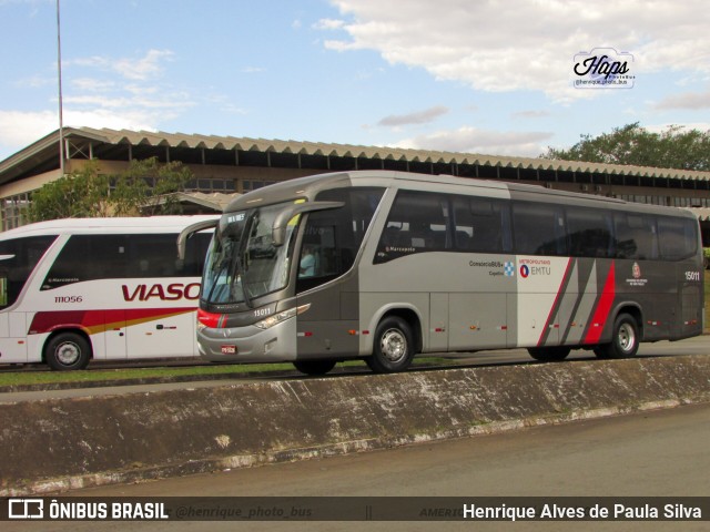 Transportes Capellini 15011 na cidade de Americana, São Paulo, Brasil, por Henrique Alves de Paula Silva. Número da foto: #11311859.