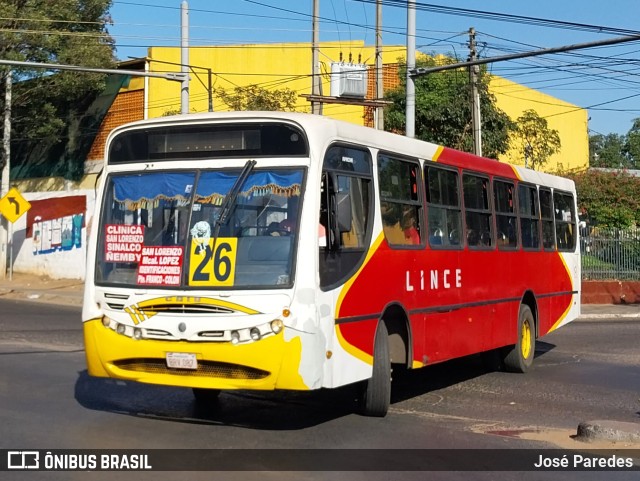 Lince 13 na cidade de Ñemby, Central, Paraguai, por José Paredes. Número da foto: #11310230.