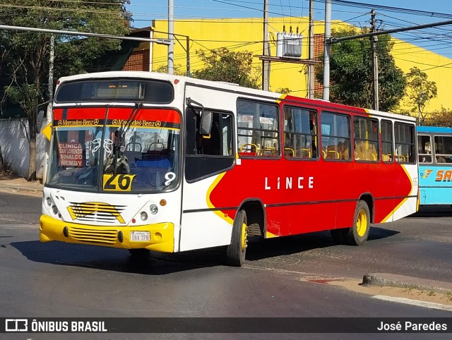 Lince 66 na cidade de Ñemby, Central, Paraguai, por José Paredes. ID da foto: 11312956.