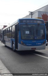 Transwolff Transportes e Turismo 6 6662 na cidade de São Paulo, São Paulo, Brasil, por LUIS FELIPE CANDIDO NERI. Número da foto: #:id.