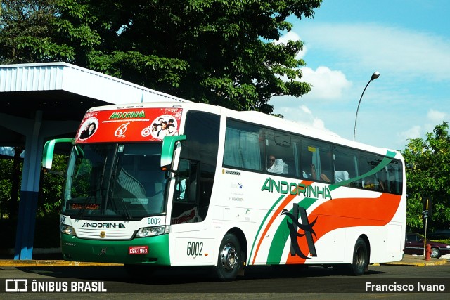 Empresa de Transportes Andorinha 6002 na cidade de Assis, São Paulo, Brasil, por Francisco Ivano. Número da foto: #11316627.