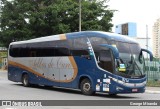 Bia Turismo > Aellos de Ouro 8214 na cidade de São Paulo, São Paulo, Brasil, por George Miranda. Número da foto: #11316597.