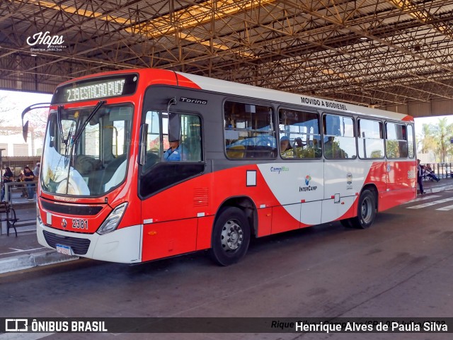 Expresso CampiBus 2381 na cidade de Campinas, São Paulo, Brasil, por Henrique Alves de Paula Silva. Número da foto: #11251513.