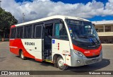 Rouxinol 2345 na cidade de Belo Horizonte, Minas Gerais, Brasil, por Welisson  Oliveira. Número da foto: #:id.