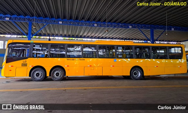 Volkswagen Ônibus e Caminhões - MAN Latin America 22260 na cidade de Goiânia, Goiás, Brasil, por Carlos Júnior. ID da foto: 11319109.