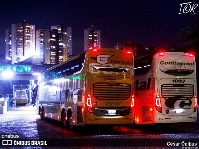 Empresa Gontijo de Transportes 25075 na cidade de Belo Horizonte, Minas Gerais, Brasil, por César Ônibus. ID da foto: 11320038.