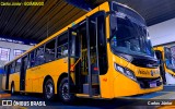 Volkswagen Ônibus e Caminhões - MAN Latin America 22260 na cidade de Goiânia, Goiás, Brasil, por Carlos Júnior. Número da foto: #11319102.