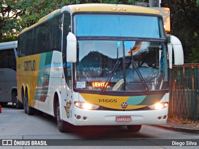 Empresa Gontijo de Transportes 14665 na cidade de São Paulo, São Paulo, Brasil, por Diego Silva. Número da foto: #11254212.