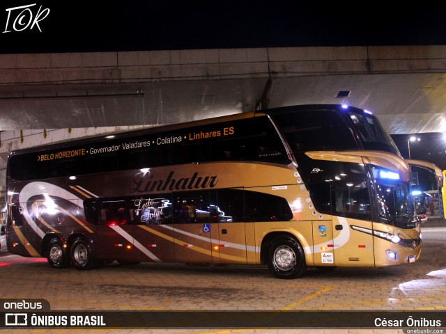 Linhatur Turismo e Fretamento 8010 na cidade de Belo Horizonte, Minas Gerais, Brasil, por César Ônibus. ID da foto: 11253776.