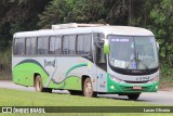Turin Transportes 1485 na cidade de Conselheiro Lafaiete, Minas Gerais, Brasil, por Lucas Oliveira. Número da foto: #11252544.
