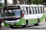 Belém Rio Transportes BD-138 na cidade de Belém, Pará, Brasil, por Fabio Soares. Número da foto: #11252833.