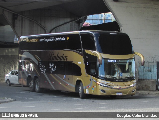 Linhatur Turismo e Fretamento 8020 na cidade de Belo Horizonte, Minas Gerais, Brasil, por Douglas Célio Brandao. ID da foto: 11258437.