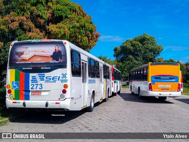 Borborema Imperial Transportes 273 na cidade de Olinda, Pernambuco, Brasil, por Ytalo Alves. ID da foto: 11256816.