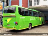 Pássaro Verde 29017 na cidade de Manhuaçu, Minas Gerais, Brasil, por Paulo Eller. Número da foto: #:id.
