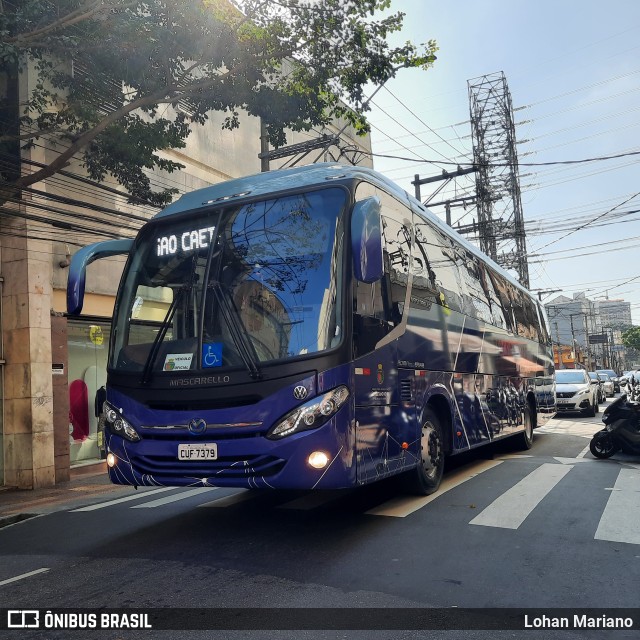 Prefeitura Municipal São Caetano do Sul 001 na cidade de São Caetano do Sul, São Paulo, Brasil, por Lohan Mariano. Número da foto: #11264859.