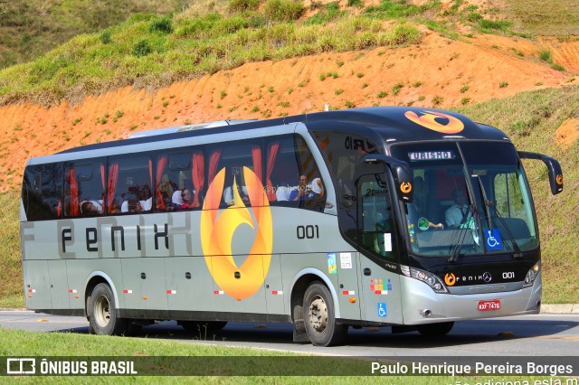 Fenix 001 na cidade de Aparecida, São Paulo, Brasil, por Paulo Henrique Pereira Borges. Número da foto: #11264642.