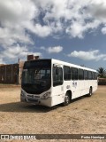 PH Tur Fretamento e Turismo  na cidade de Trairi, Ceará, Brasil, por Pedro Henrique. Número da foto: #11324265.