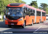 Viação Cidade Sorriso >> Viação Sorriso de Curitiba GE732 na cidade de Curitiba, Paraná, Brasil, por Ezequiel Vicente Fernandes. Número da foto: #11323545.