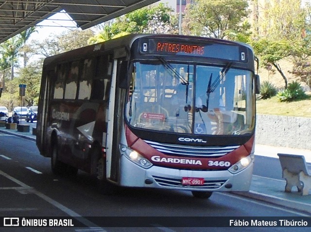 Expresso Gardenia 3460 na cidade de Varginha, Minas Gerais, Brasil, por Fábio Mateus Tibúrcio. Número da foto: #11349130.