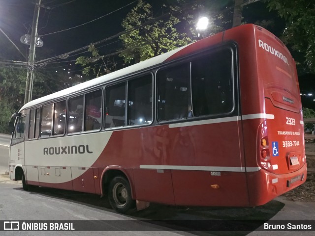Rouxinol 2323 na cidade de Sabará, Minas Gerais, Brasil, por Bruno Santos. Número da foto: #11351106.