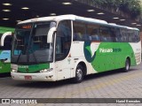 Pássaro Verde 29020 na cidade de Belo Horizonte, Minas Gerais, Brasil, por Hariel Bernades. Número da foto: #11351161.