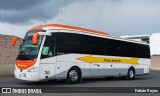 Flecha Amarilla 7463 na cidade de Morelia, Michoacán, México, por Fabián Reyes. Número da foto: #11353666.