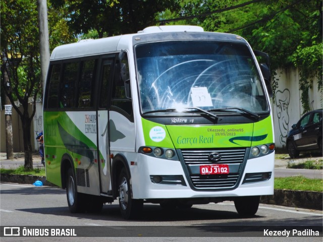 Garça Real Transportes 25614019 na cidade de Manaus, Amazonas, Brasil, por Kezedy Padilha. Número da foto: #11356352.