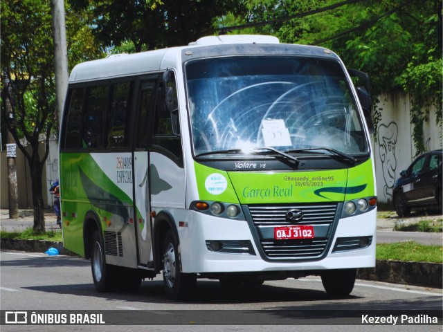 Garça Real Transportes 25614019 na cidade de Manaus, Amazonas, Brasil, por Kezedy Padilha. ID da foto: 11356352.