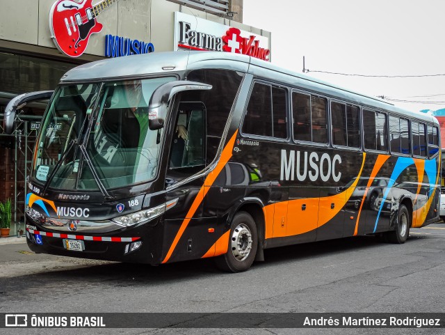 Musoc 188 na cidade de Cartago, Cartago, Costa Rica, por Andrés Martínez Rodríguez. ID da foto: 11358746.