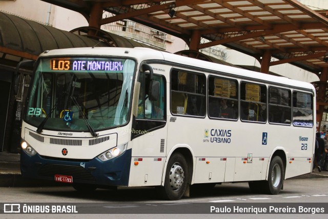 Visate - Viação Santa Tereza 213 na cidade de Caxias do Sul, Rio Grande do Sul, Brasil, por Paulo Henrique Pereira Borges. Número da foto: #11358688.