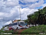 Rouxinol 420 na cidade de Belo Horizonte, Minas Gerais, Brasil, por Douglas Yuri. Número da foto: #:id.