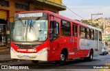 Empresa São Gonçalo 10295 na cidade de Contagem, Minas Gerais, Brasil, por Marcelo Luiz. Número da foto: #:id.