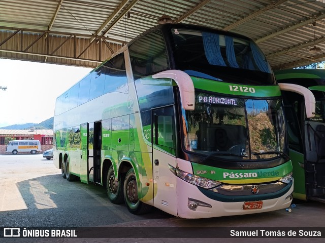 Pássaro Verde 12120 na cidade de Ouro Preto, Minas Gerais, Brasil, por Samuel Tomás de Souza. ID da foto: 11363485.