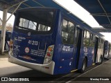 Radial Transporte Coletivo 41.213 na cidade de Poá, São Paulo, Brasil, por Wesley Ricardo. Número da foto: #:id.