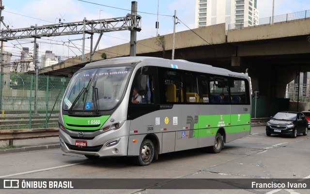 Transcooper > Norte Buss 1 6560 na cidade de São Paulo, São Paulo, Brasil, por Francisco Ivano. ID da foto: 11368436.