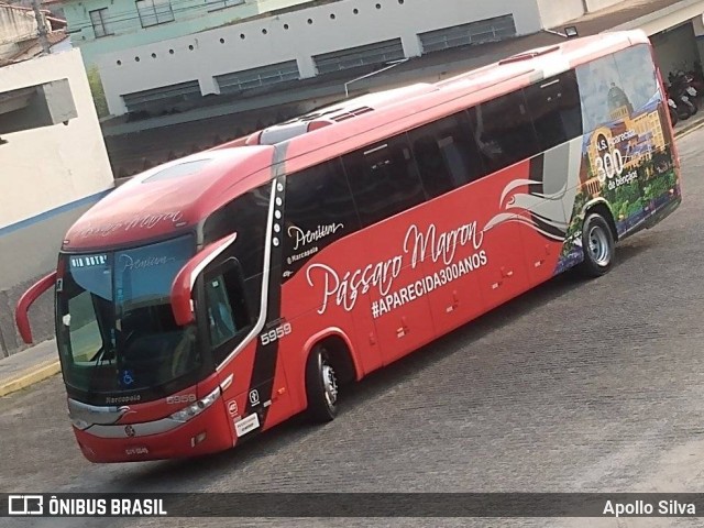 Empresa de Ônibus Pássaro Marron 5959 na cidade de Cruzeiro, São Paulo, Brasil, por Apollo Silva. Número da foto: #11367699.