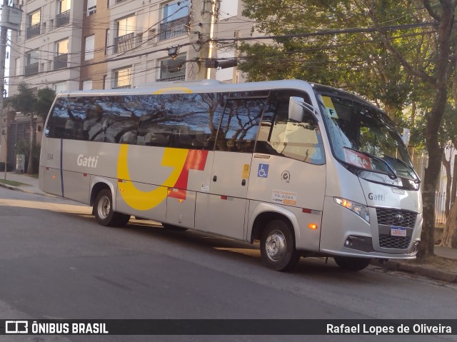 Gatti 334 na cidade de São Paulo, São Paulo, Brasil, por Rafael Lopes de Oliveira. Número da foto: #11325311.