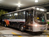 Rápido Campinas 133491 na cidade de Cabreúva, São Paulo, Brasil, por Rafael Campos. Número da foto: #11325703.