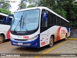 CMW Transportes 1185 na cidade de Extrema, Minas Gerais, Brasil, por Guilherme Estevan. Número da foto: #11374494.