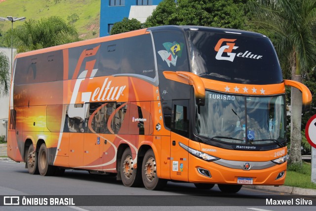 Geltur Turismo 2020 na cidade de Aparecida, São Paulo, Brasil, por Maxwel Silva. ID da foto: 11376228.