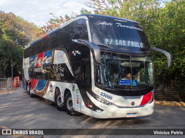 Arte Transportes e Turismo 23000 na cidade de São Paulo, São Paulo, Brasil, por Vinicius Petris. Número da foto: #11377173.