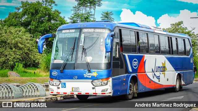 Lumaca C-217 na cidade de Cartago, Cartago, Costa Rica, por Andrés Martínez Rodríguez. ID da foto: 11376879.