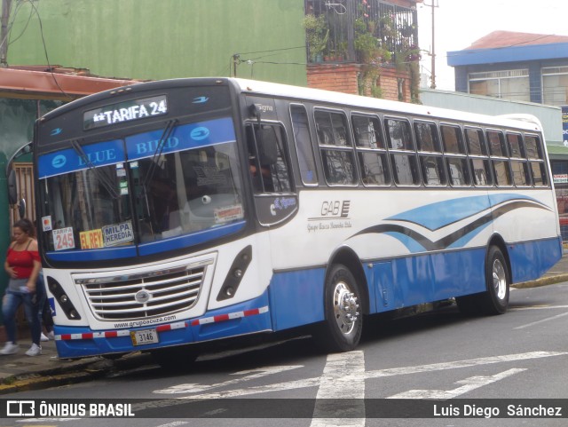 Grupo Acuza Barveña 16 na cidade de Heredia, Heredia, Heredia, Costa Rica, por Luis Diego Sánchez. Número da foto: #11378081.