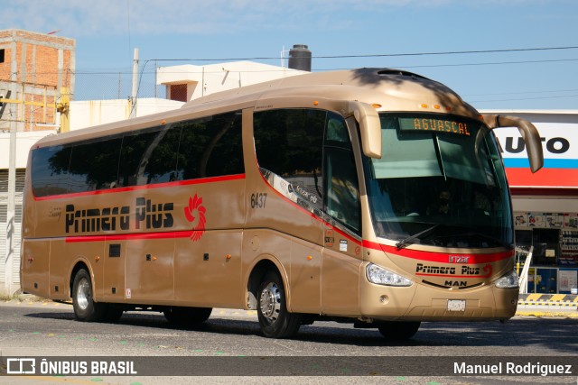Primera Plus 6437 na cidade de León, Guanajuato, México, por Manuel Rodriguez. Número da foto: #11379219.