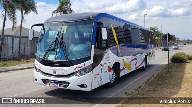 Sussantur 4750 na cidade de Guarulhos, São Paulo, Brasil, por Vinicius Petris. Número da foto: #11383749.